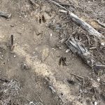 Rapides Parish Recreational property for sale