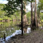 Bossier Parish Investment land for sale