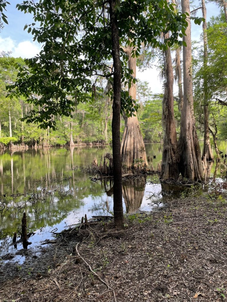 Bossier Parish Investment land for sale
