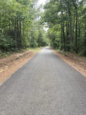 Bienville Parish Hunting land for sale
