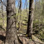 Recreational property for sale in Hempstead County
