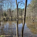 Hunting property for sale in Hempstead County