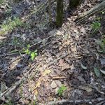 Hempstead County Recreational property for sale