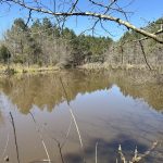 Hempstead County Timberland for sale