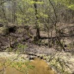 Hempstead County Hunting property for sale