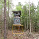 Timberland for sale in Nevada County