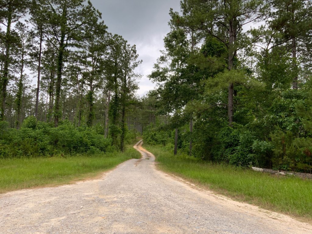 Timberland property for sale in La Salle Parish
