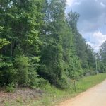 Caldwell Parish Timberland property for sale
