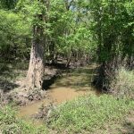 Recreational land for sale in Concordia Parish