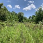 Concordia Parish Recreational property for sale