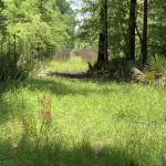 Concordia Parish Investment property for sale
